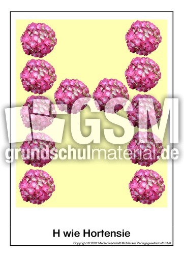 H-wie-Hortensie.pdf